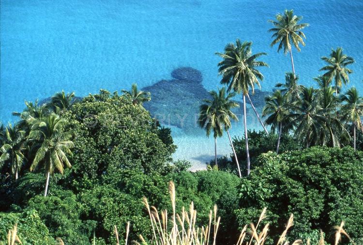 Islands;Fiji;palm trees;birds eye view;blue water